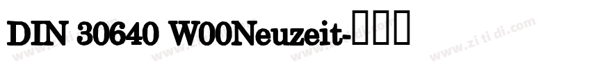 DIN 30640 W00Neuzeit字体转换
